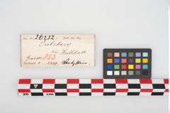 Etikett zu Schleifstein (NHMW-PRAE-026232)